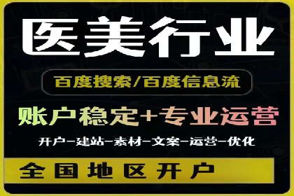 SEM推广实战：成功案例解读与策略调整